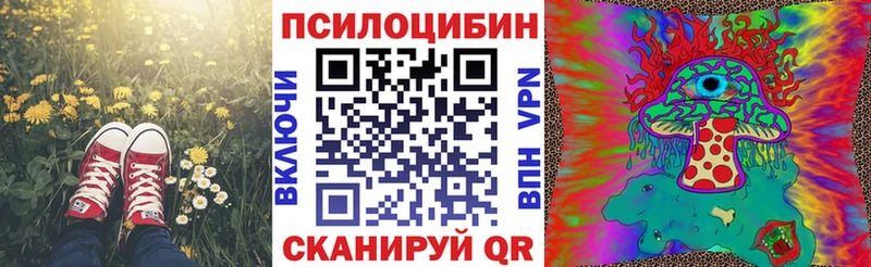 купить   Мышкин  Псилоцибиновые грибы MAGIC MUSHROOMS 